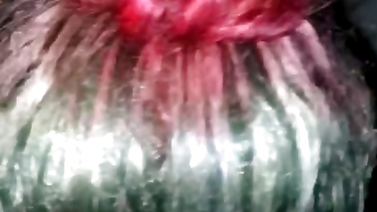 Big dick amateur HD video.